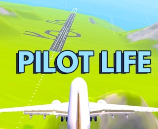 Pilot Life: Flight Game 3D online game thumbnail