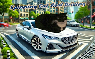 Spinning Cat Real Driving online game thumbnail