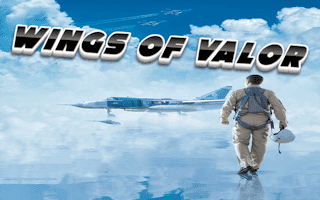 Wings of Valor: Flight Combat online game thumbnail